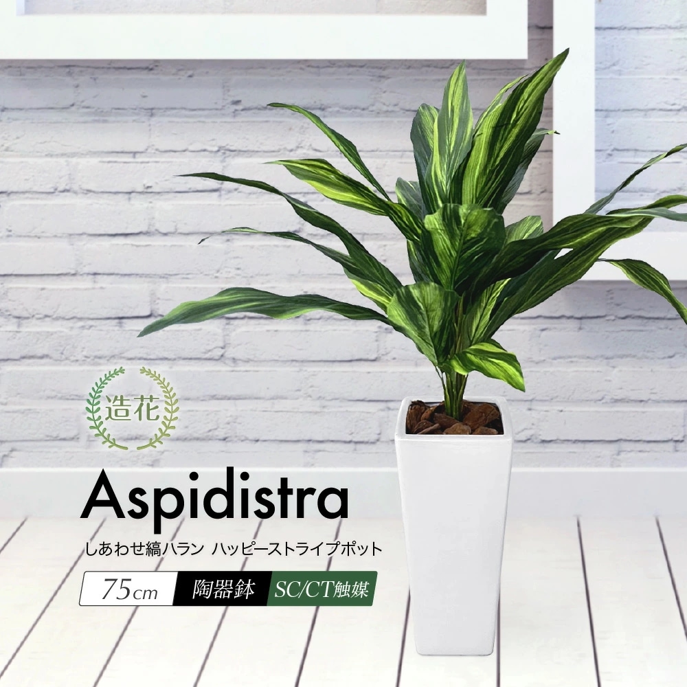 フェイクグリーン しあわせ縞ハラン ハッピーストライプポット 75cm 鉢植 CT触媒