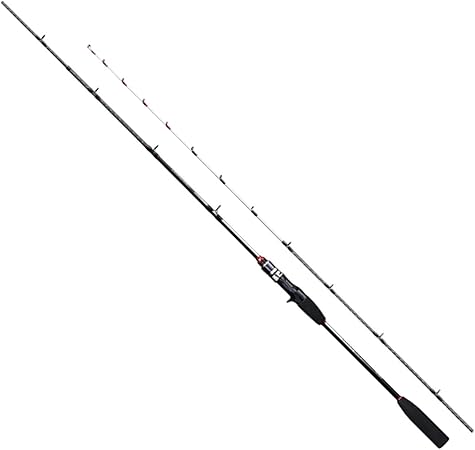 ロッド 船竿 19 ライトゲーム BB TYPE73 各種 手持ちの釣り向け エントリーモデル