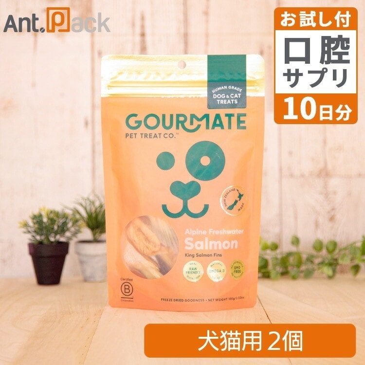 グルメイト フリーズドライトリーツ アルパインサーモン 犬猫用 100g×2個＋セラプトfm（タブレット）10日分（37041）