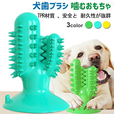 犬噛むおもちゃ ペット用 ワンちゃん歯ブラシ 安全 ...のサムネイル