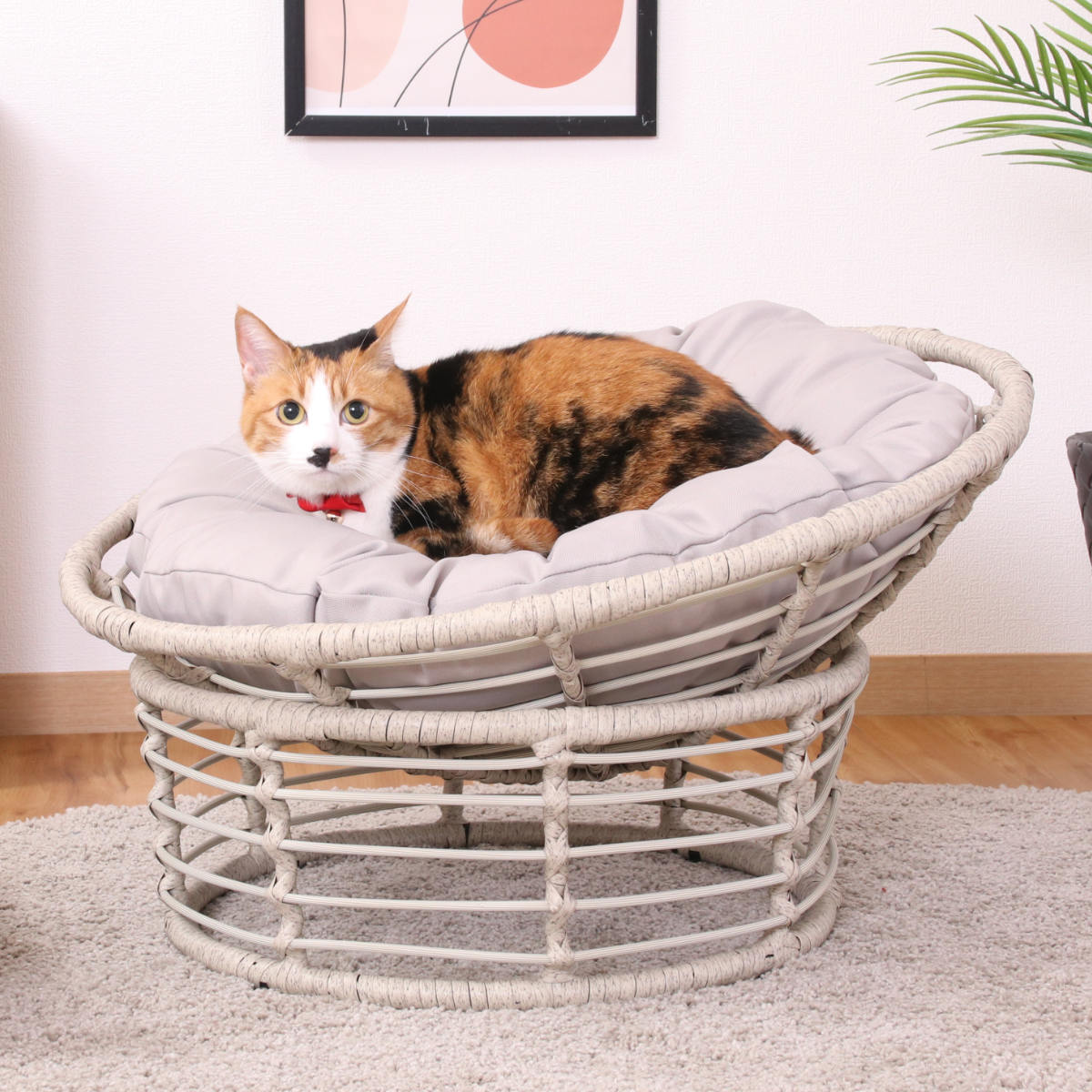 ペットベッド クッションチェア ペット用 猫 ラタン調 ペットスツール ベッド ペットチェア クッション付 チェア ペット用クッション 小型動物 犬 椅子 小型ペット用 ペット専用 猫ベッド