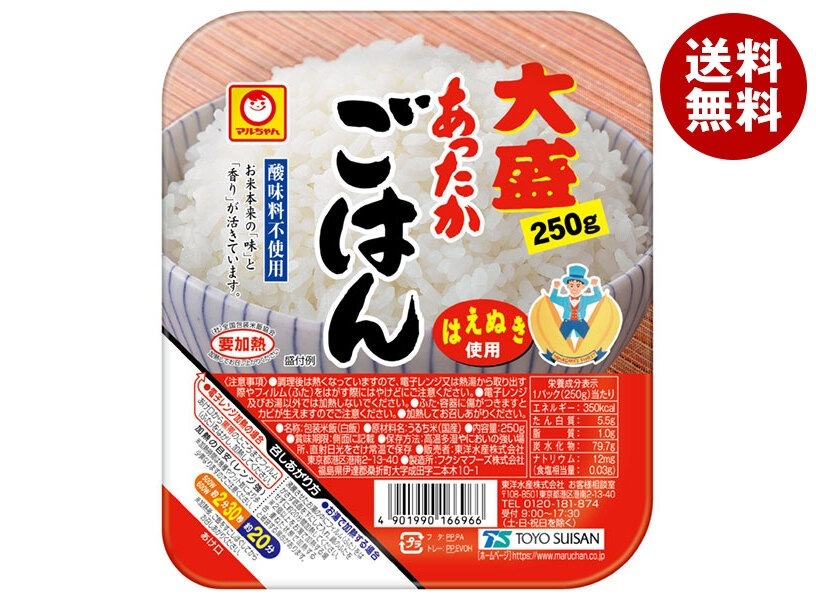 東洋水産 あったかごはん 大盛 250g×20(10×2)個入×(2ケース)