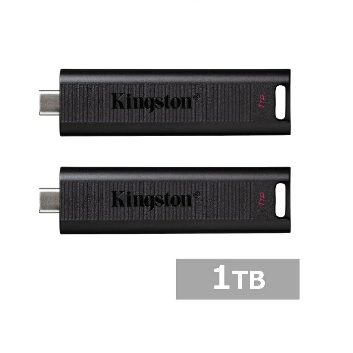 【2セット】 キングストン USBメモリ DTMAX/1TB DataTraveler Max USB 3.2 Gen 2 USB-C 1TB Kingston Type-C USBメモリー