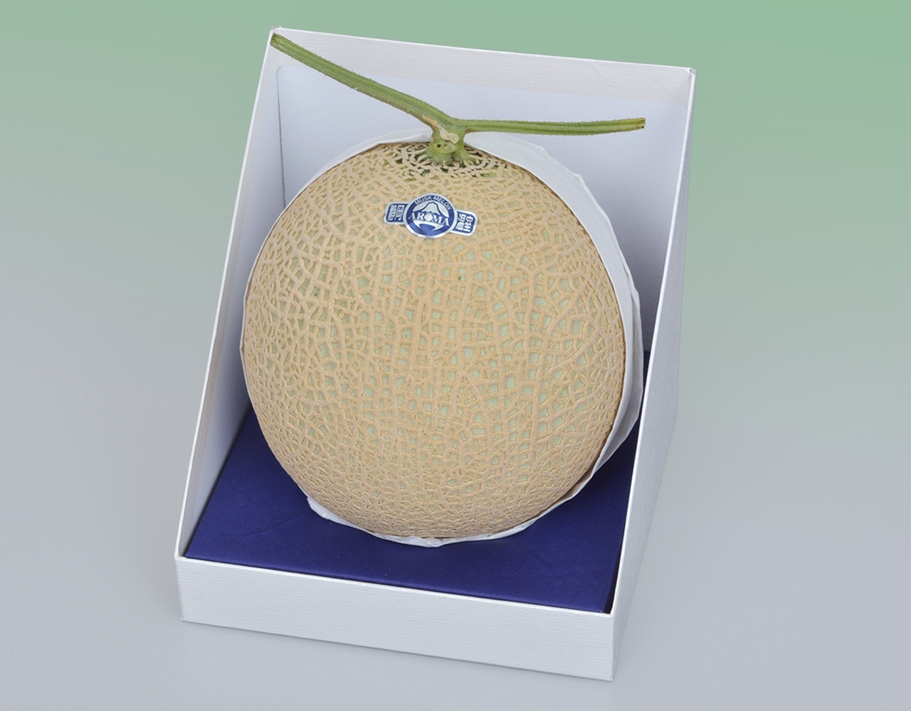 【静岡県産アローマ マスクメロン 1玉（約1.3kg) 林フルーツ】