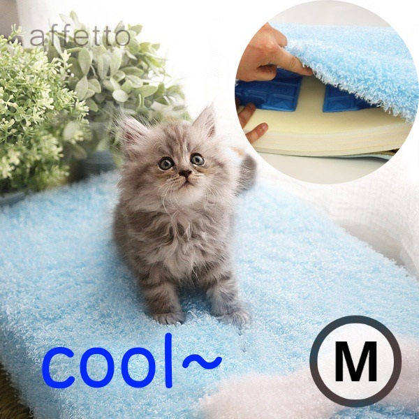 ペット アペト正方形クールマット（正方形/ M） SQUARE COOL MAT / M