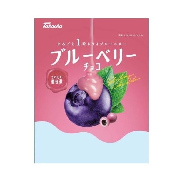 高岡食品工業 高岡食品 ブルーベリーチョコ 90g 12 メーカー直送