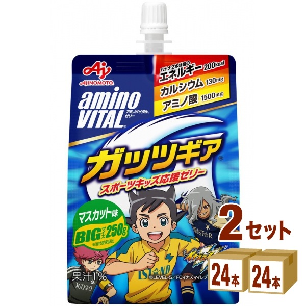 【数量限定特価】 味の素 アミノバイタル ゼリー ドリンク ガッツギア マスカット味 250ml 2ケース (48本)