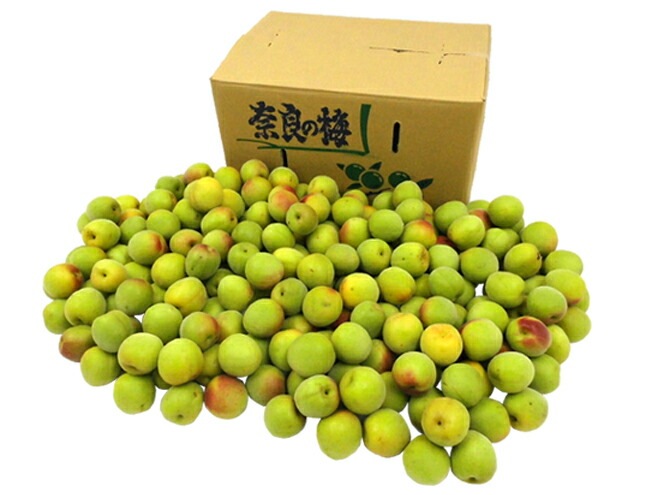 奈良/和歌山産 =南高梅= ちょっと訳あり 超大粒3L/4L 約10kg 予約 6月初旬以降
