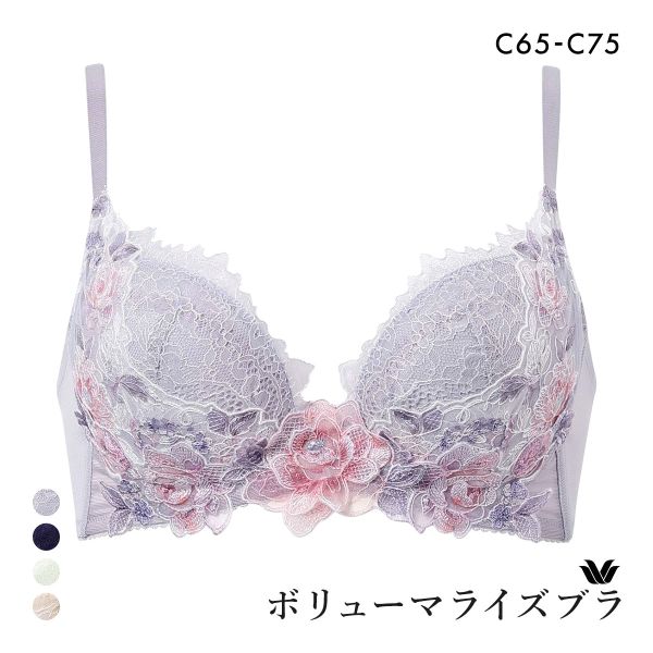 ワコール ボリューマライズブラ プレミアム 22series BXD722 22G ブラジャー C