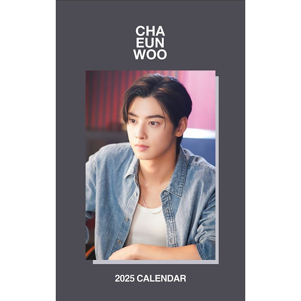 チャウヌミニポーチ8番ASTROアストロ