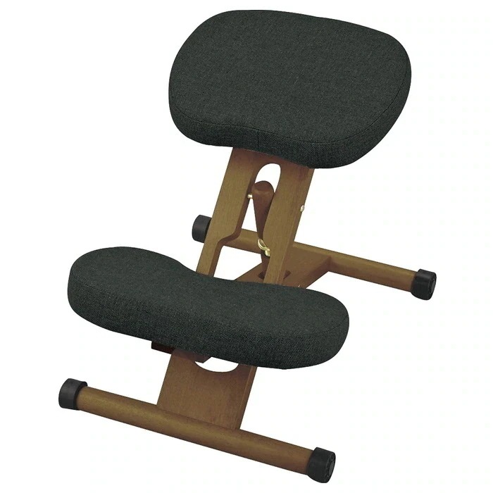 学習チェア プロポーションチェア CH-DBR88W ダークブラック 11,385円