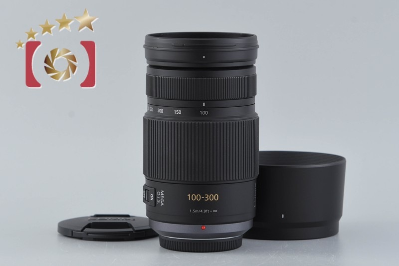 LUMIX G VARIO 100-300mm f/4-5.6 MEGA O.I.S. H-FS100300
