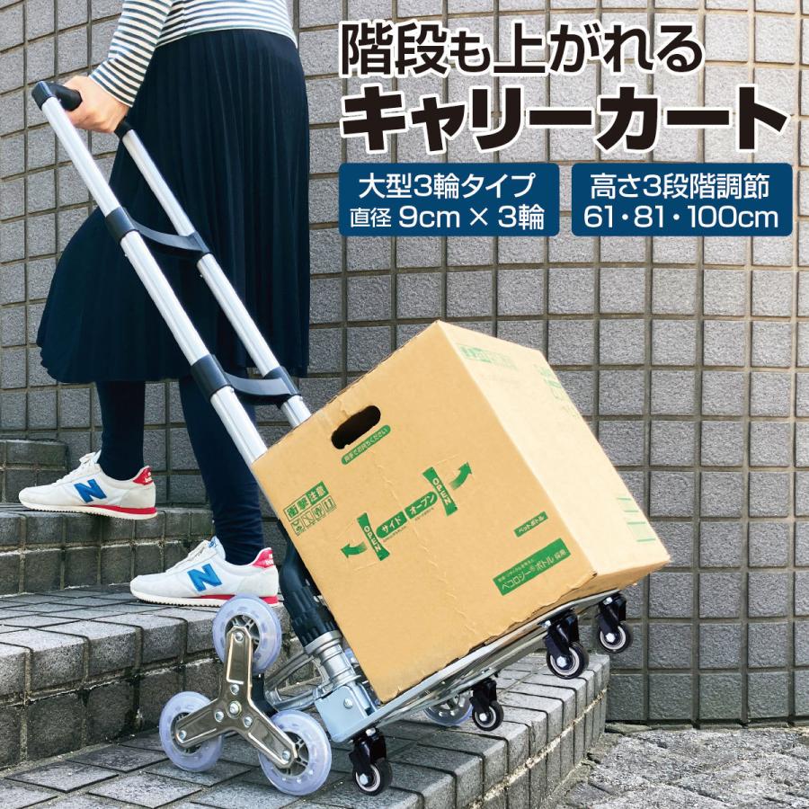【本日限り激安】キャリーカート 折りたたみ 買い物 キャリーワゴン ショッピングカート 台車 コンパクト アウトドア キャンプ レジャー cart03
