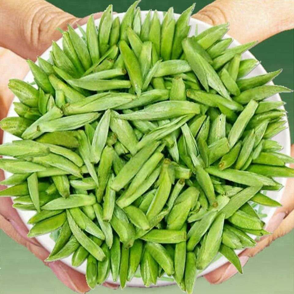 Meitan Cuiya New Tea Single-bai Fried Green Craft Green Tea Strong Flavor Package 500g