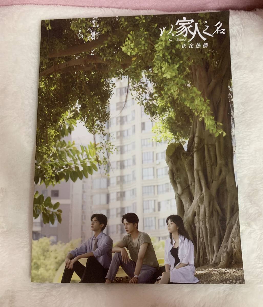 中国ドラマ『家族の名において』李尖尖 凌霄 賀子秋 譚鬆韻 宋威龍 張新成 ファンブック 画集 A4写真集 112p ポスター10枚 写真30枚