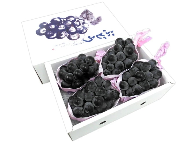 長野産 =ナガノパープル= 秀品 3-4房 約2kg以上 化粧箱 ぶどう 予約 9月以降　[K1]