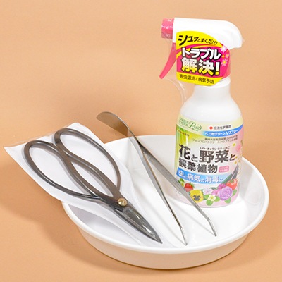 盆栽 道具セット 入門 4点 盆栽道具【 初心者 セット 盆栽鋏 園芸トレー ピンセット 殺虫剤 盆栽セット キット 退職祝い プレゼント 男性 定年 上司 父 記念品 退職 祝い】