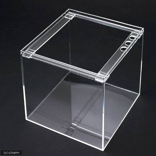 水槽　アクリル水槽　ラクシス　Ｎｏ．３４　（３００X３００X３００ｍｍ）　３０ｃｍ水槽　ＣＲＣ10―11―04―20―00