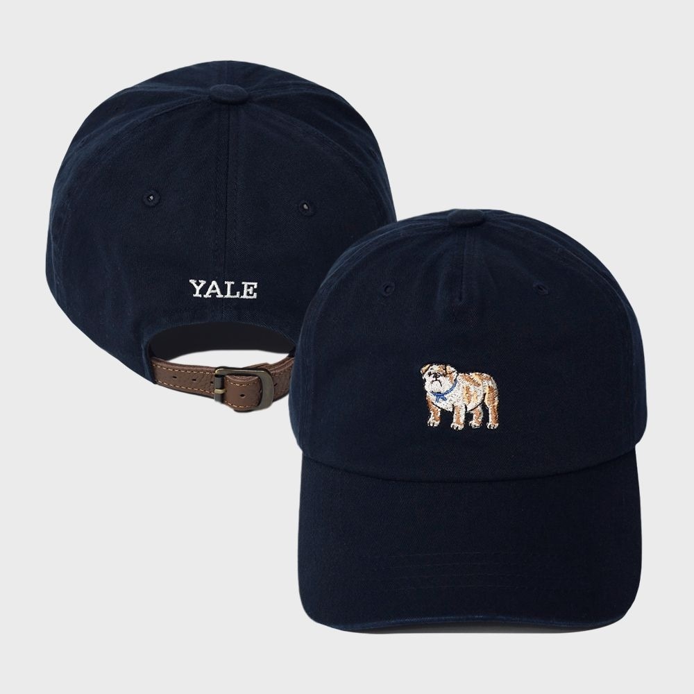 エールヴィンテージドゥードルダン 5P キャップ_ネイビー