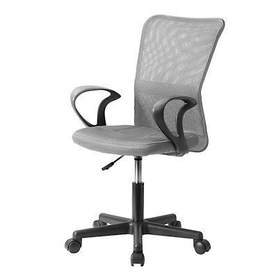 10本セット中サイズ白ヘビの抜け殻414 【公式通販】