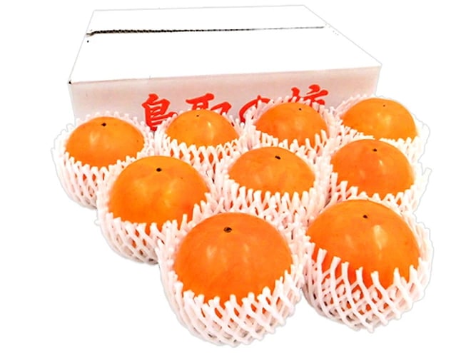 鳥取県 猪口農園 =太郎丸柿= 秀品 8-12玉前後 約3kg 予約 10月下旬以降