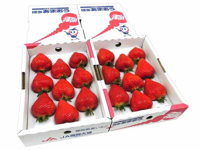 =博多あまおう= 最高等級EX(エクセレント) 2箱(1箱9粒 約450g) 予約 2月中旬以降