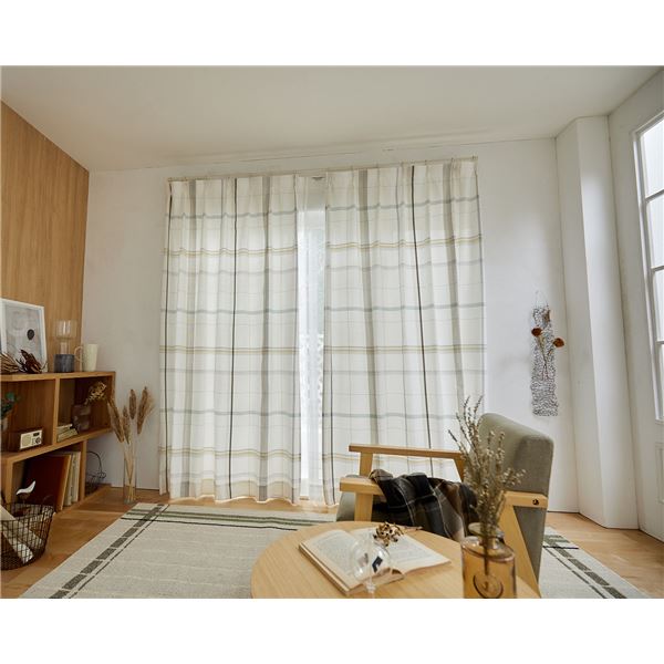 ドレープカーテン (フェネートル 約100×200cm 1枚入 G1051) 洗える 共布タッセル付き スミノエ 日本製 インテリア用品