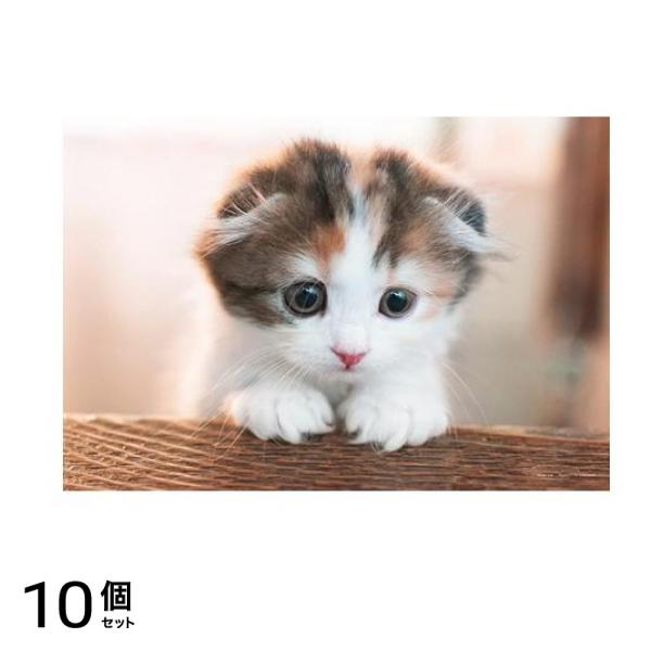 やのまん300ピースジグソーパズル 03-941 こっちだよ(猫) 26× 38cm 10個セット