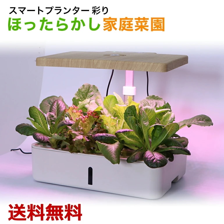 古典 スマートプランター 高機能プランター 家庭菜園 栽培キット LED ファン モーターポンプ 自動水や その他