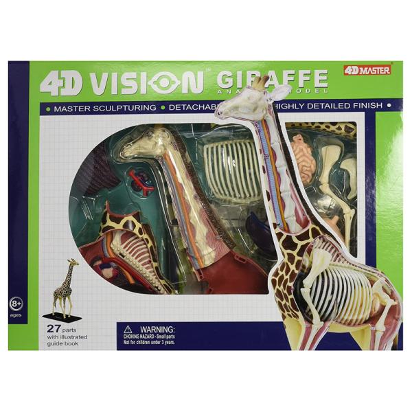 4D Vision 動物解剖モデル キリン パズル 知育 骨格 内臓 パズル プラモデル
