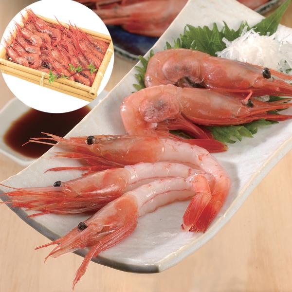 日本海甘えび 500g 23~30尾 SISK
