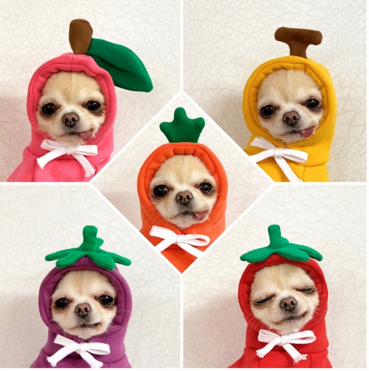 11 Oemフルーツは犬猫小中程度の大きな犬秋と冬のスウェットシャツフリース服と物資のペット