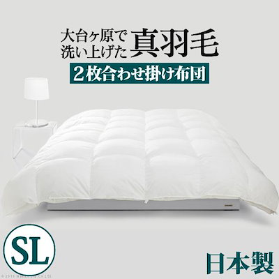 デジタルサイネージ 集客クン RDX-43 43インチ 電子看板 リモコン付