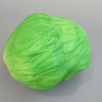 日本職人が作る 食品サンプル 新鮮/キャベツ IP-247