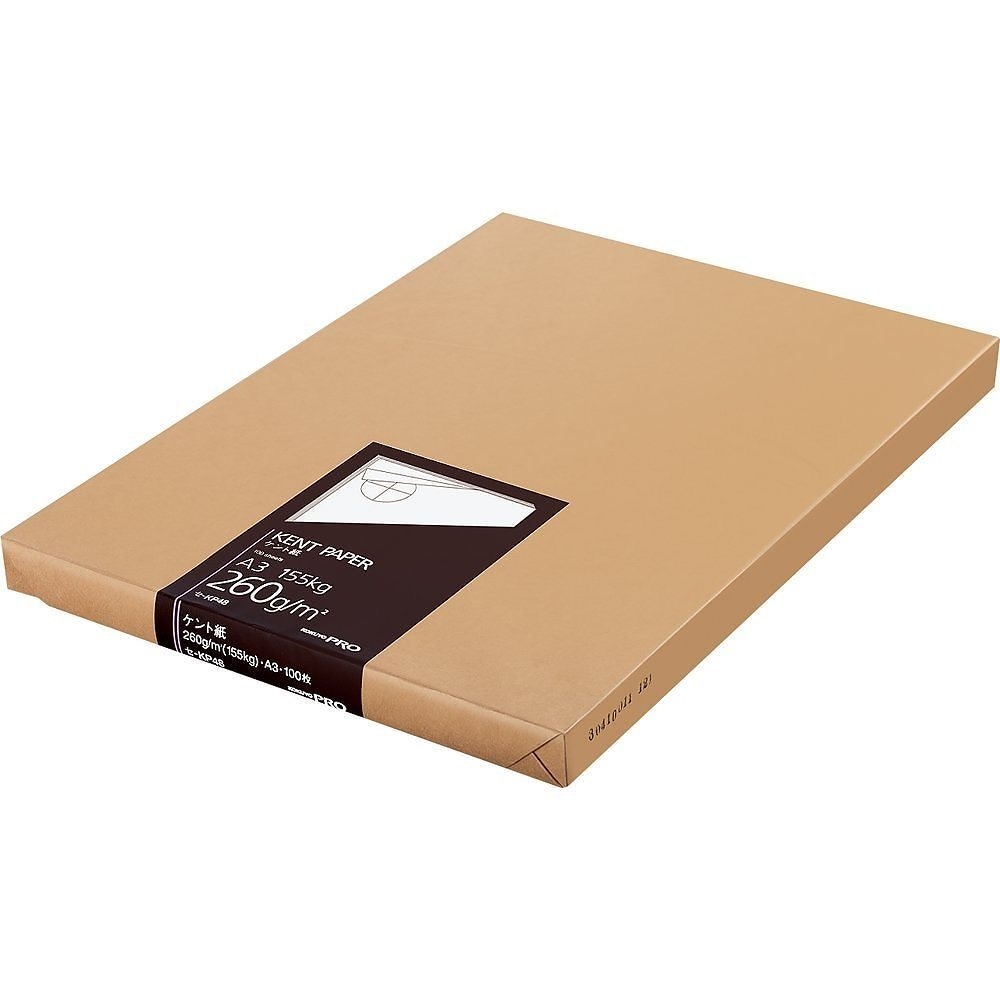 （まとめ買い）高級ケント紙 A3 100枚 紙厚260g セ-KP48 [x3]画材