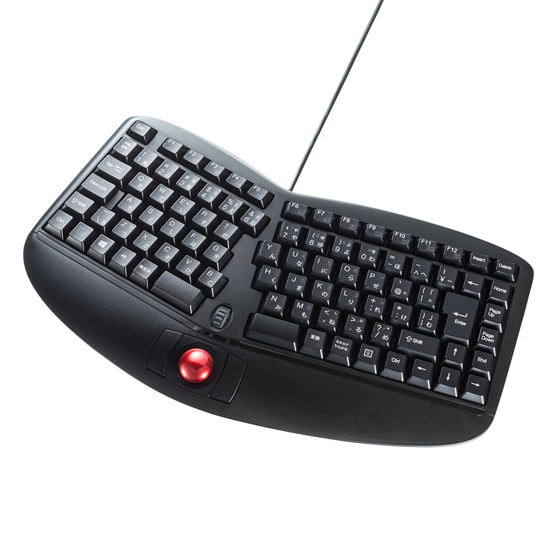 エルゴノミクスキーボード トラックボール付き ブラック SKB-ERG5BK