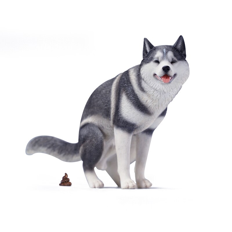 Mr.Z 1/6 サイズ 柴犬 シバイヌ 可愛い 滑稽 犬 動物 リアル フィギュア プラモデル お