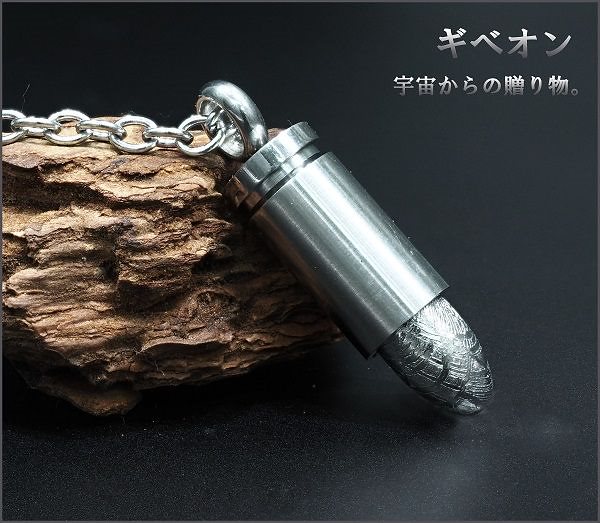 限定入荷 希少石 ギベオン ネックレス 神聖石 銃 弾 デザインメテオライト 隕石 強力 宇宙 石 17,520円
