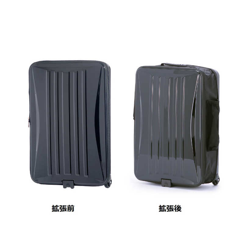 A.L.I　アジア・ラゲージ 折りたたみキャリー Locobox [40L] ブラック　LC572518
