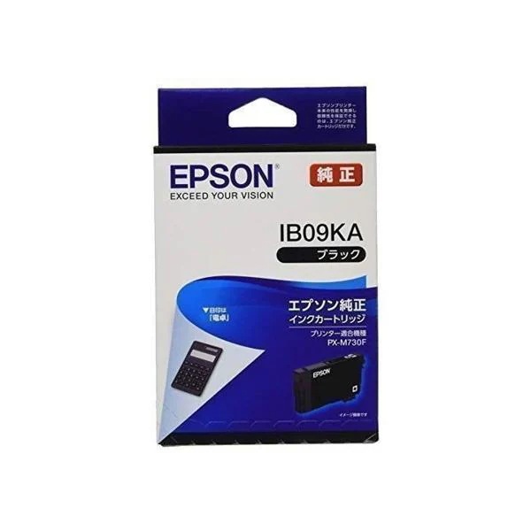 2個セット エプソン IB09KA ブラック 標準インク 純正 インクカートリッジ