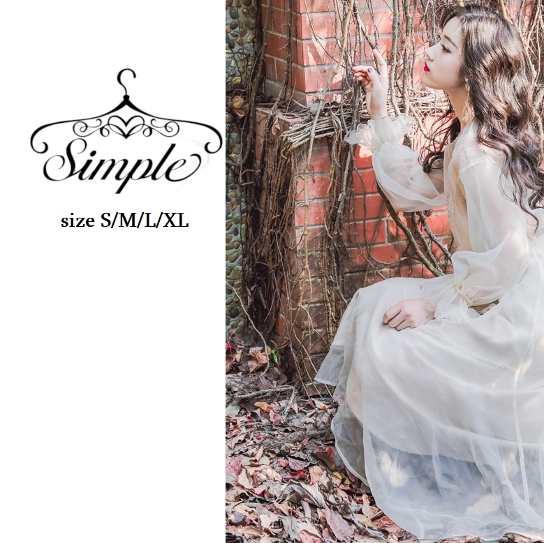 レディース ファッション ワンピース きれいめ 長袖 刺繍 透け感 Aライン シースルー 大きいサイズ セクシー ロング おしゃれ 大きめ 春 夏 秋 20代 30代 4599