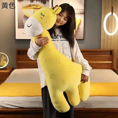 TEAM NACS 鈴井貴之 トレーディングカード 6枚セット 【公式通販】