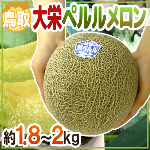 Qoo10 鳥取県 大栄ペルルメロン 大玉 1玉 食品