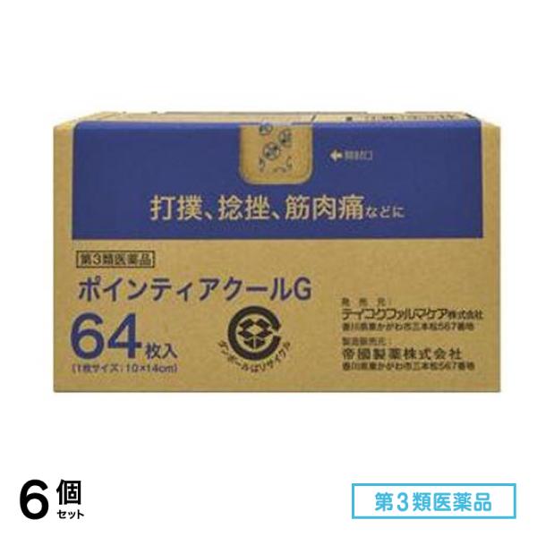 第３類医薬品 ポインティアクールG 10×14cm 64枚入 6個セット