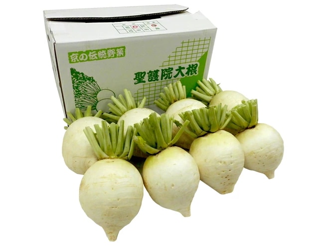 京都府 =聖護院大根= 6-10玉前後 約14kg 予約 11月下旬以降