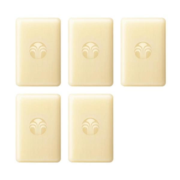 ニュースキン NU SKIN ボディーバー レフィル （5個入り