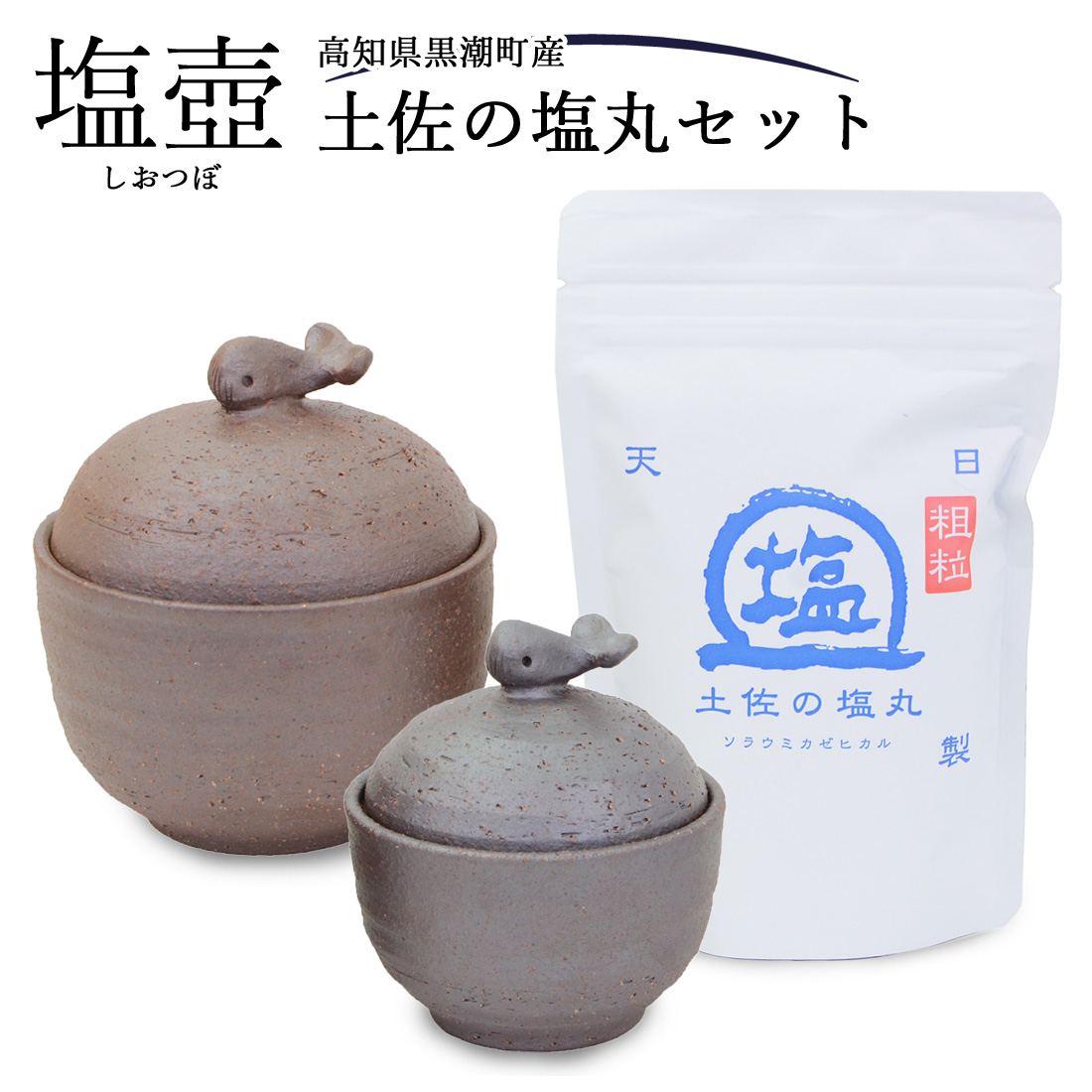 塩壺 焼き物 一点もの 手づくり 陶器 土佐の塩丸 天日塩 粗粒 200g セット 高知産 黒潮町産 塩 入れ物 食塩 調味料 容器 国産 お塩 天然塩 自然塩 焼き締め陶器