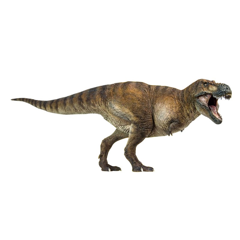 新着商品 誕生日 恐竜好き 模型 おもちゃ プラモデル PVC フィギュア リアル 恐竜 T-REX ティラノサウルス サイズ 1/35 恐竜博物館  PNSO 即納 プレゼント 塗装済 芸術 科学 オリジナル フィギュア Color:画像通り - flaviogimenis.com.br