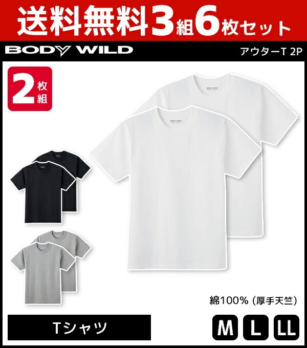 送料無料3組セット 計6枚 BODYWILD ボディワイルド ヘビーウェイトTシャツ クルーネック