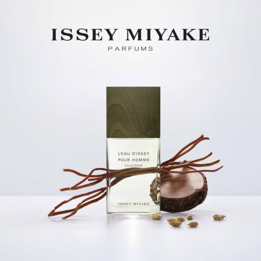 イッセイ ミヤケ EDT 100ml ロディセイ オム オ&セドラ